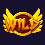 slot games wild symbol
